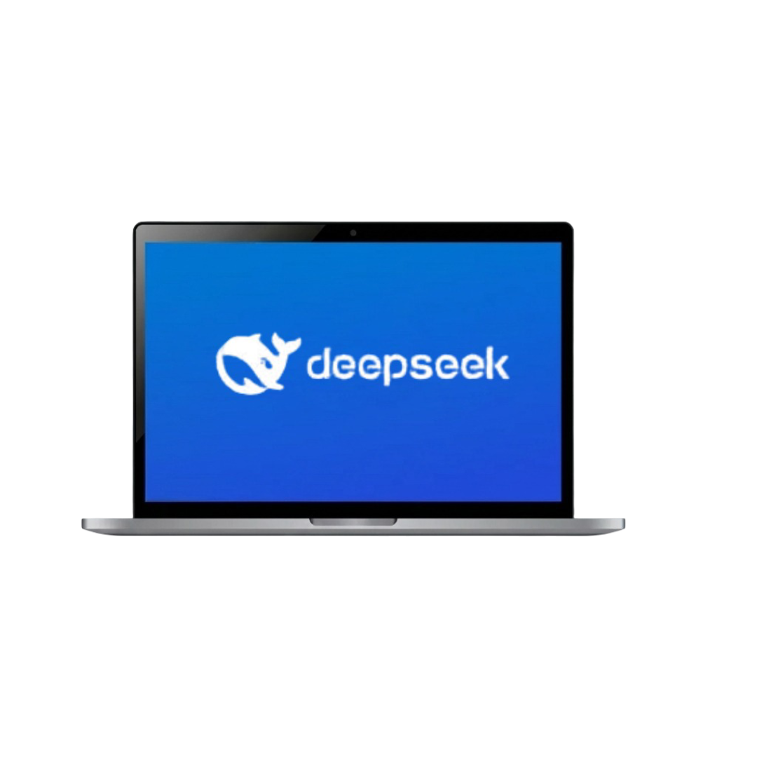 DeepSeek Hosting